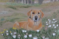 /album/galerie-photos/dsc-1871-copie-jpg/